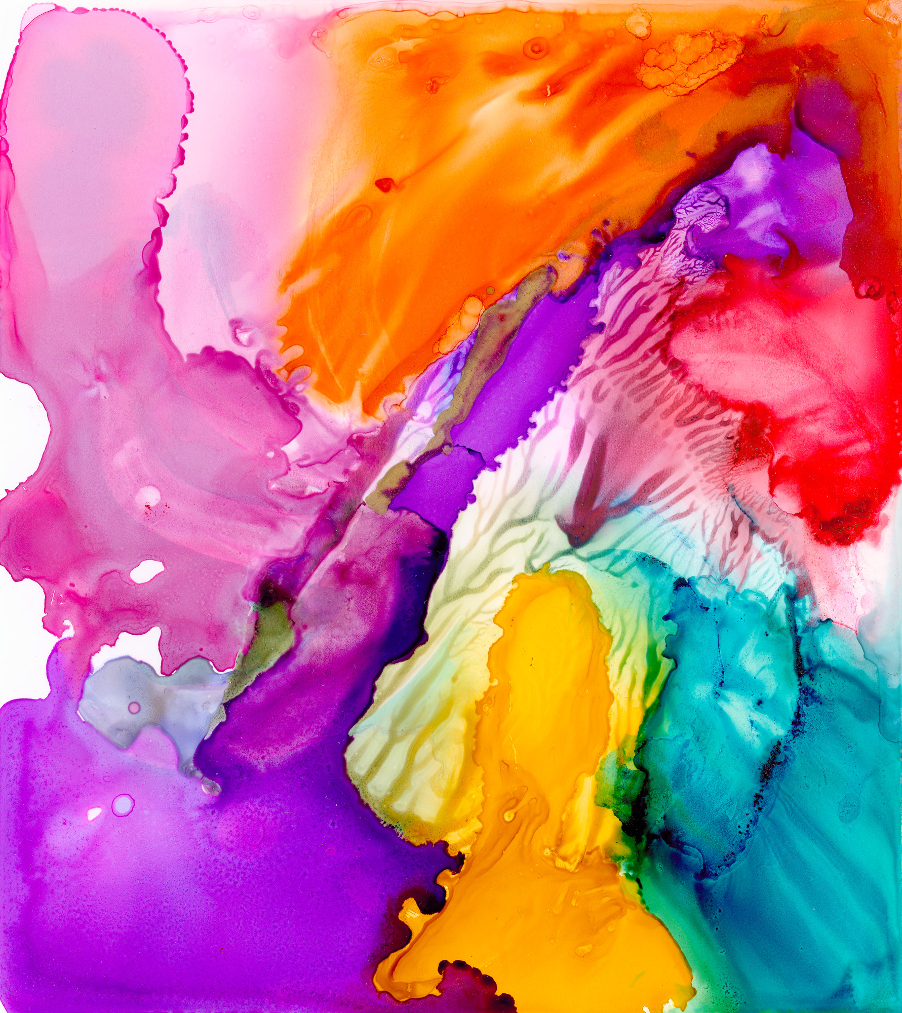 Côte of Many Colors